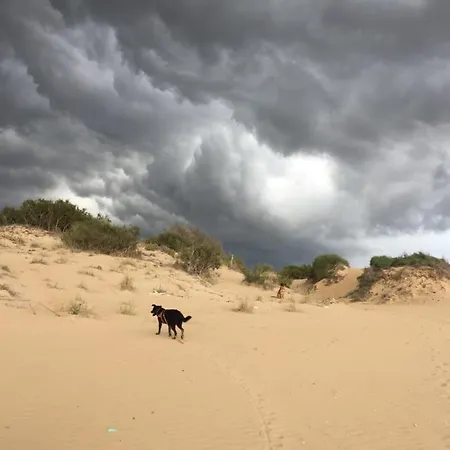 Mayana Sicily - The Casa de hóspedes Santa Maria del Focallo