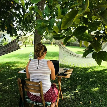 Mayana Sicily - The Casa de hóspedes 3*