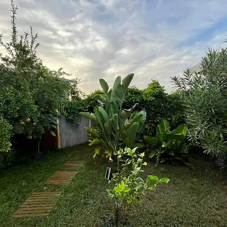 Casa de hóspedes Mayana Sicily - The 3*