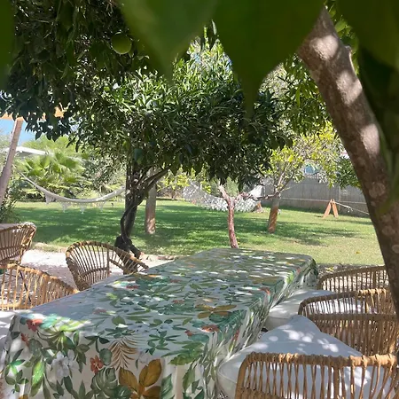 Mayana Sicily - The