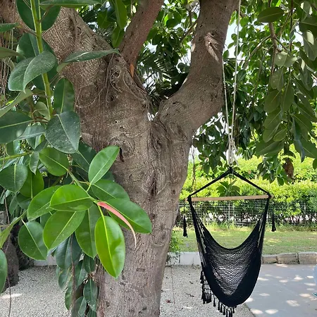 Casa de hóspedes Mayana Sicily - The